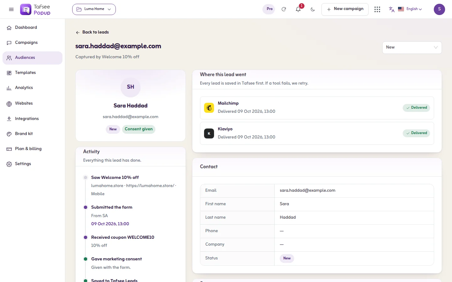 One lead opened in Tafsee Popup: the campaign that captured it, what the visitor did step by step, and confirmation that it was delivered to Mailchimp and Klaviyo
